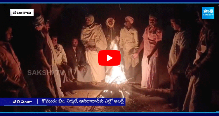 Heavy Cold Wave In Telangana 1