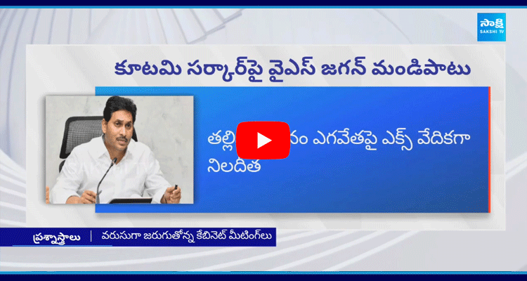 YS Jagan Comments On Chandrababu And TDP Government  1