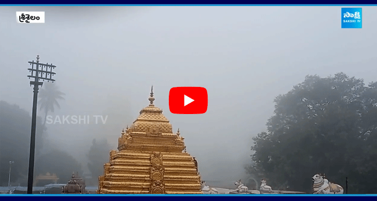 Heavy Fog In Srisailam 1