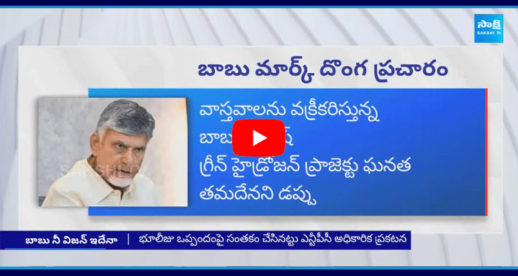 Chandrababu TDP Yellow Media Fake Propaganda Over Green Hydrogen Project And Bulk Drug Park 2