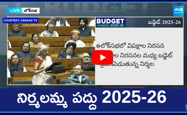 Nirmala Sitharaman Budget on Infrastructure and Middle Class People 2