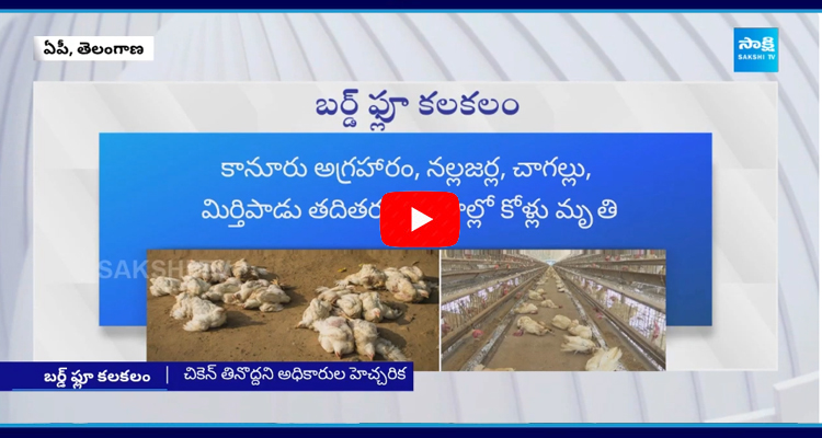 Bird Flu Effect on AP and Telangana  1