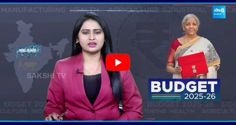  Special Story On Union Budget 2025-26 1