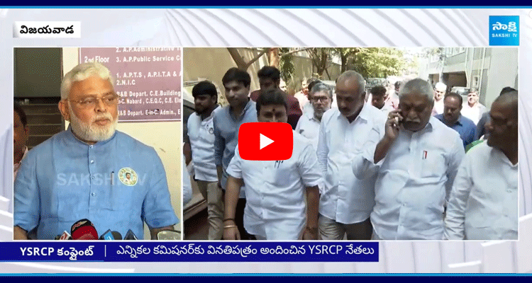 YSRCP Leaders Complaint To Election Commissioner In Vijayawada 2