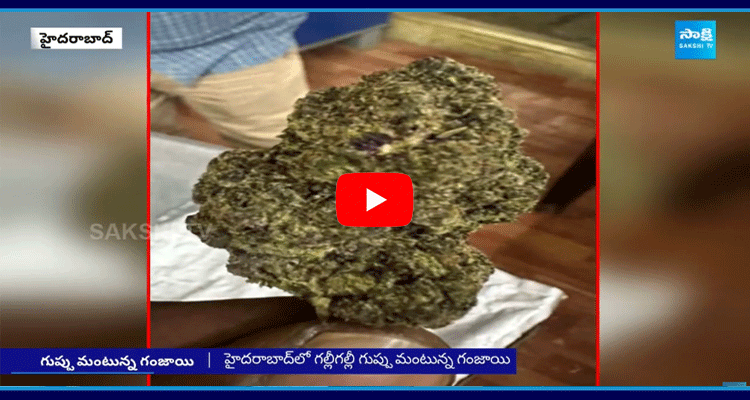 Foreign Ganja Racket Circulating Ganja Chocolate In Hyderabad 1