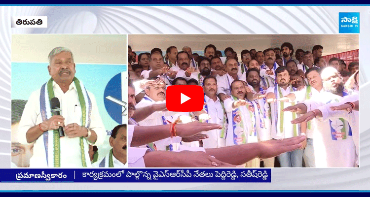 YSRCP Peddireddy Satires On Chandrababu 1