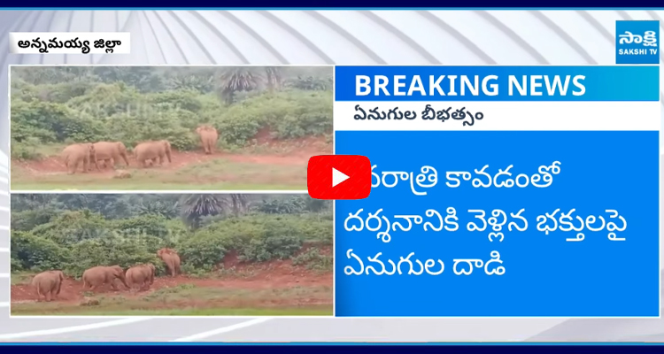 Elephants Attack in Annamayya District  1