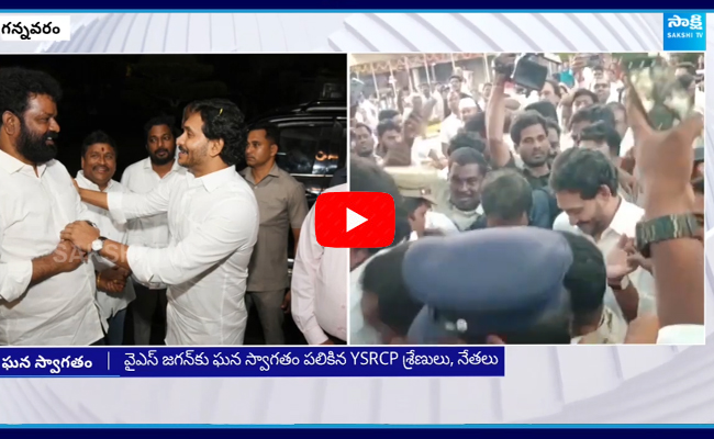 YS Jagan Receive Grand Welcome at Gannavaram Airport  1