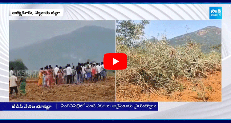 TDP Leaders Land Grabs In Nellore 3