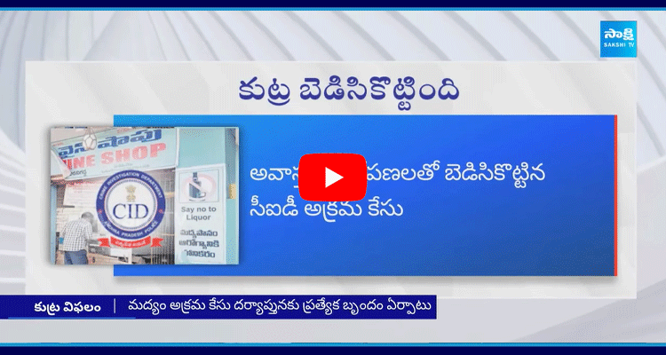 CID Illegal Cases On Liquor Policy In Andhra Pradesh 3