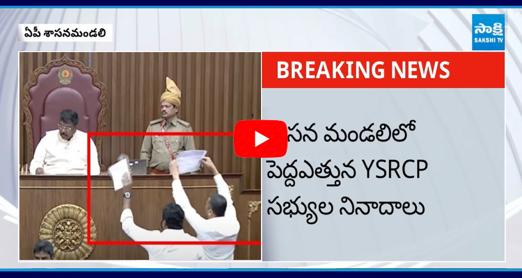 YSRCP Members Protest In Legislative Council 1