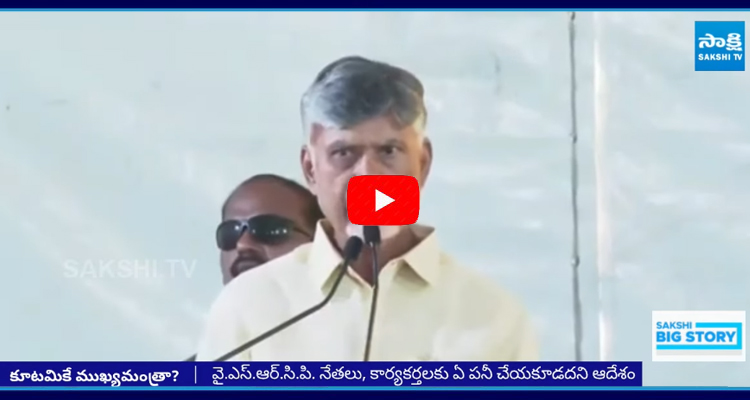 AP People Sensational Comments On Chandrababu Speech 1