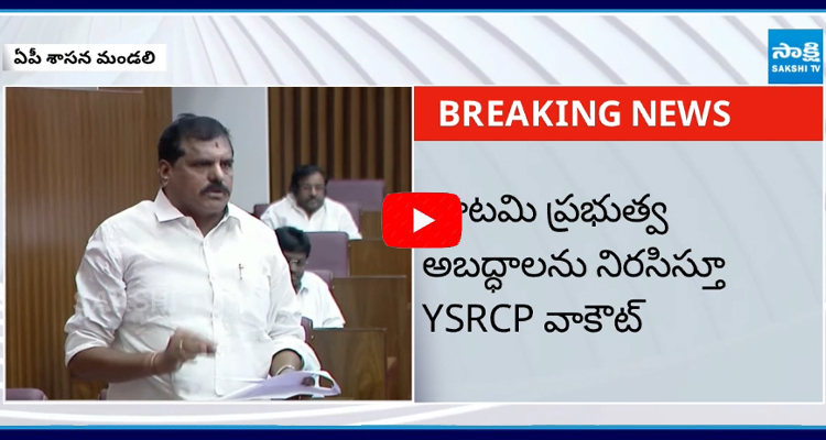 YSRCP MLCs Walkout From Legislative Council  1