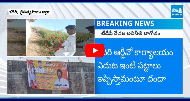 TDP Leaders Corruption In Illa Patta  5