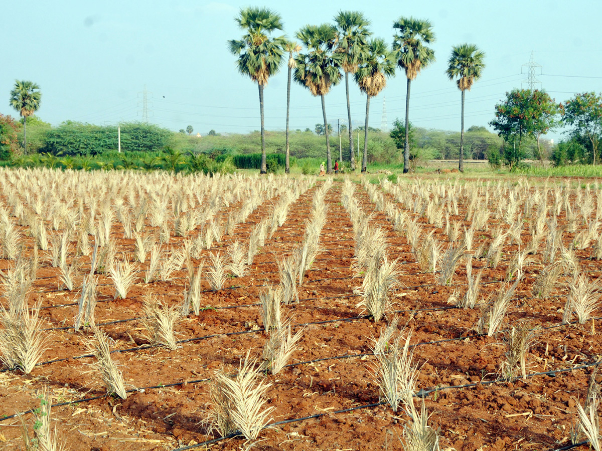  Best Photos of The Day in AP and Telangana Photo Gallery6