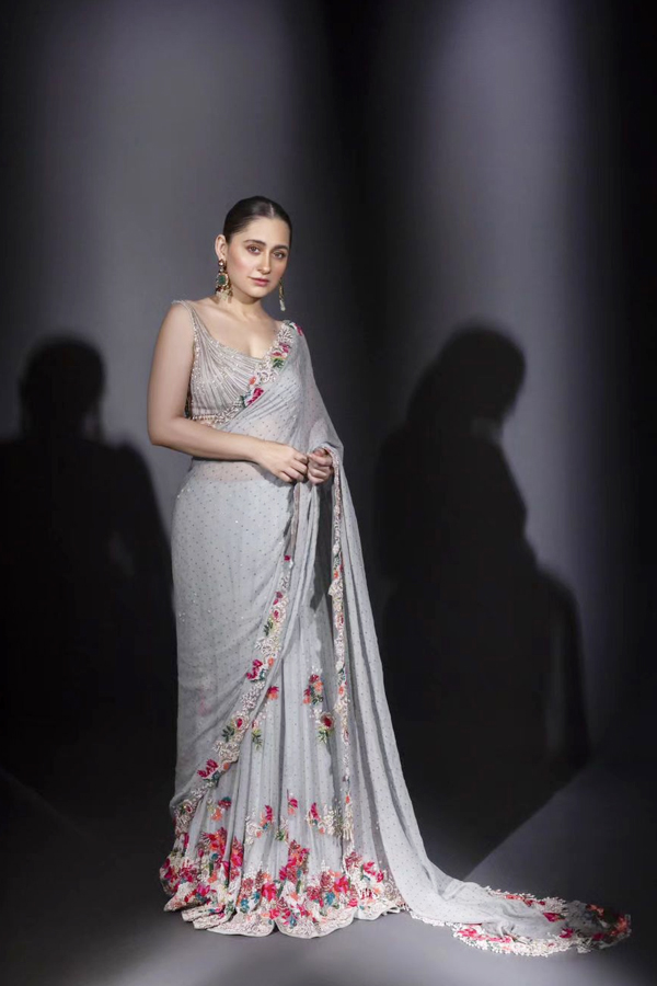 Sanjeeda Shaikh Looks Stunning In This Embroidery Saree2