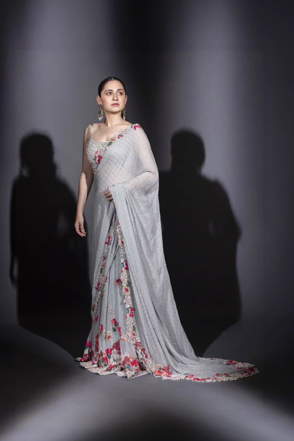 Sanjeeda Shaikh Looks Stunning In This Embroidery Saree4