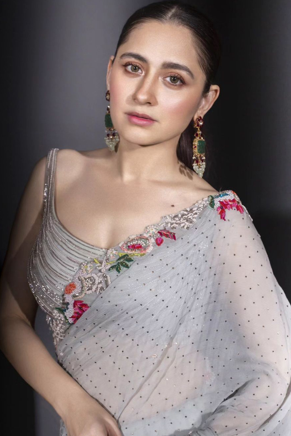 Sanjeeda Shaikh Looks Stunning In This Embroidery Saree8