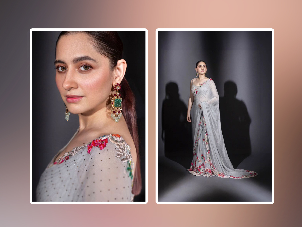 Sanjeeda Shaikh Looks Stunning In This Embroidery Saree1