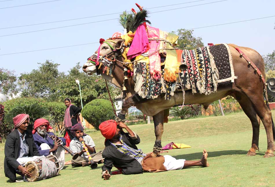 sankranti festival8