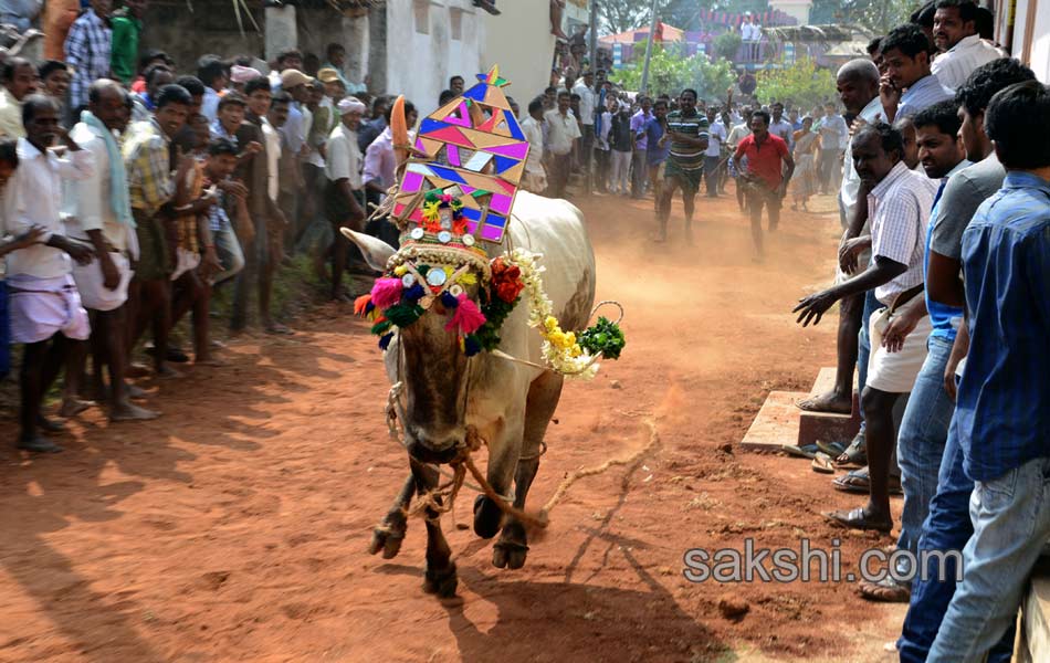 2014 Alanganallur Jallikattu - Sakshi43