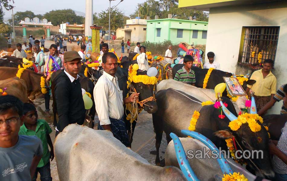 2014 Alanganallur Jallikattu - Sakshi50