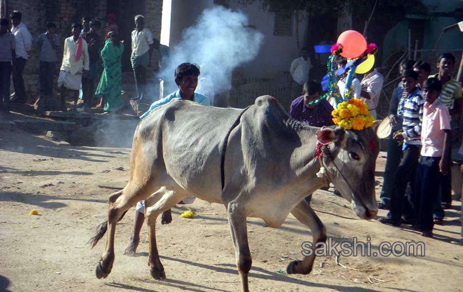 2014 Alanganallur Jallikattu - Sakshi55