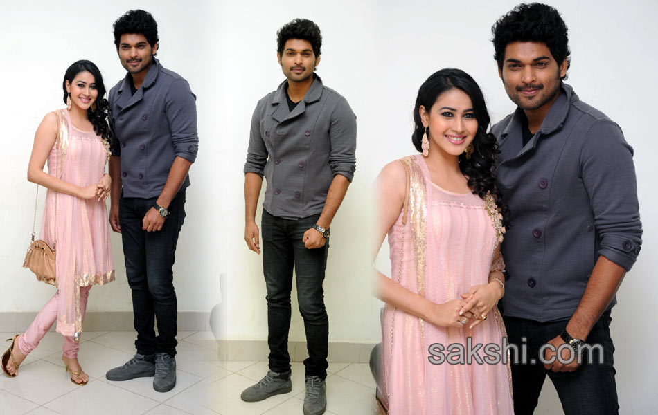 Prabhanjanam Audio Function - Sakshi13