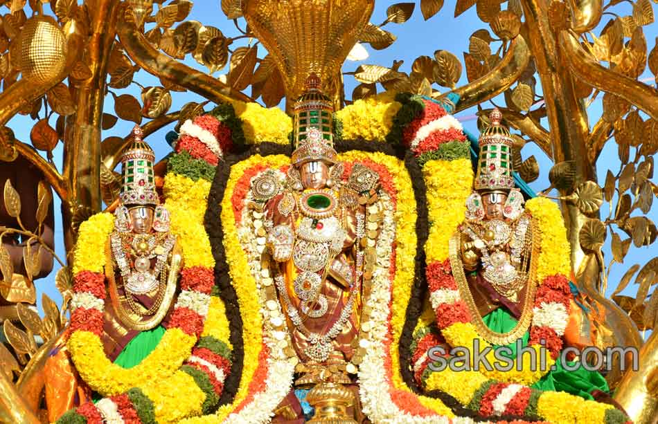 tirumala rathasapthami - Sakshi14