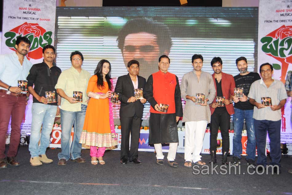 pawan kalyan launches basanti audio - Sakshi4