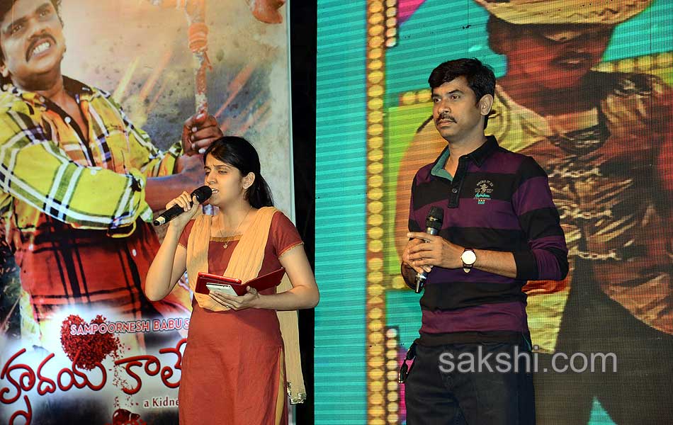 Hrudaya Kalayam Audio launch21