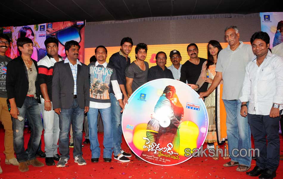 Pellandandi Preminchaka Matrame movie audio launch - Sakshi25