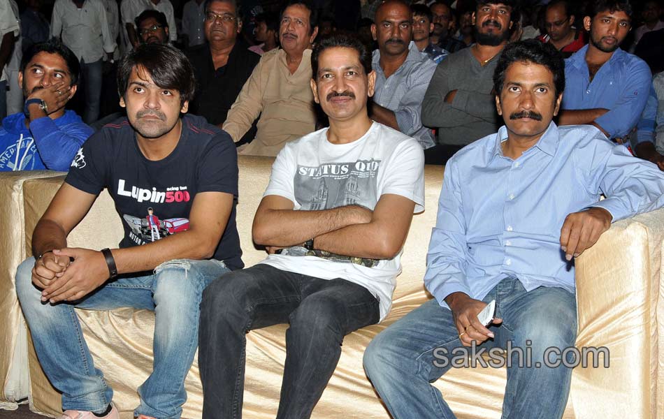 Laddu Babu Movie Audio Function - Sakshi24