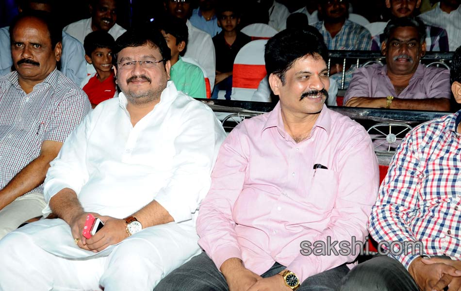 Chirunavvula Chirujallu Movie Audio Launch - Sakshi12