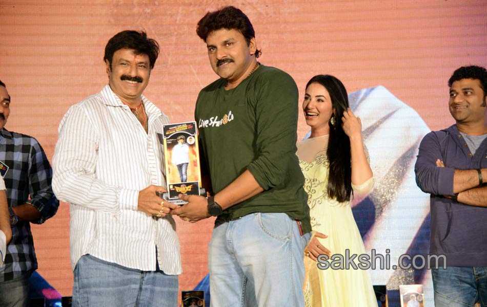 Legend movie success meet - Sakshi11