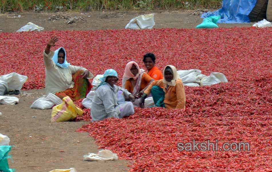 Vijayamma s Janapatham at Guntur District - Sakshi26