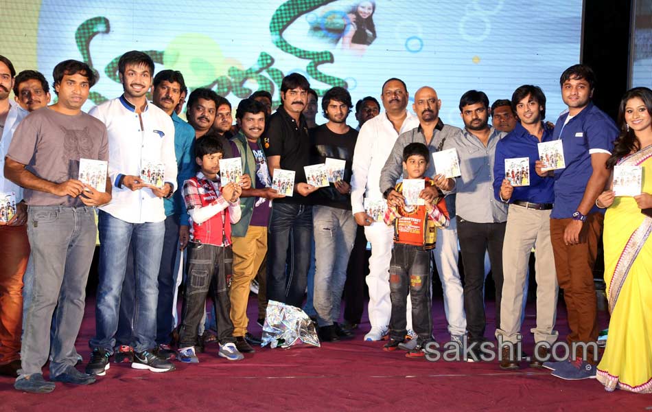 Green Signal Movie Audio Launch14