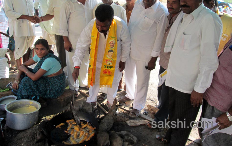 political leaders election campaign in seemandhra - Sakshi29