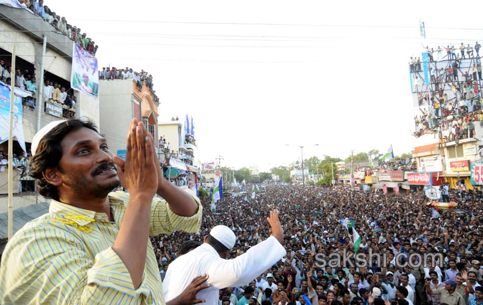 YSRCP Party leaders election campaign Meetings - Sakshi1