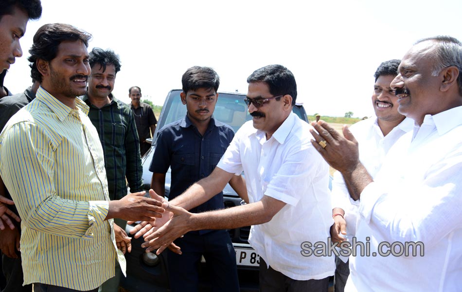 YSRCP Party leaders election campaign Meetings - Sakshi6