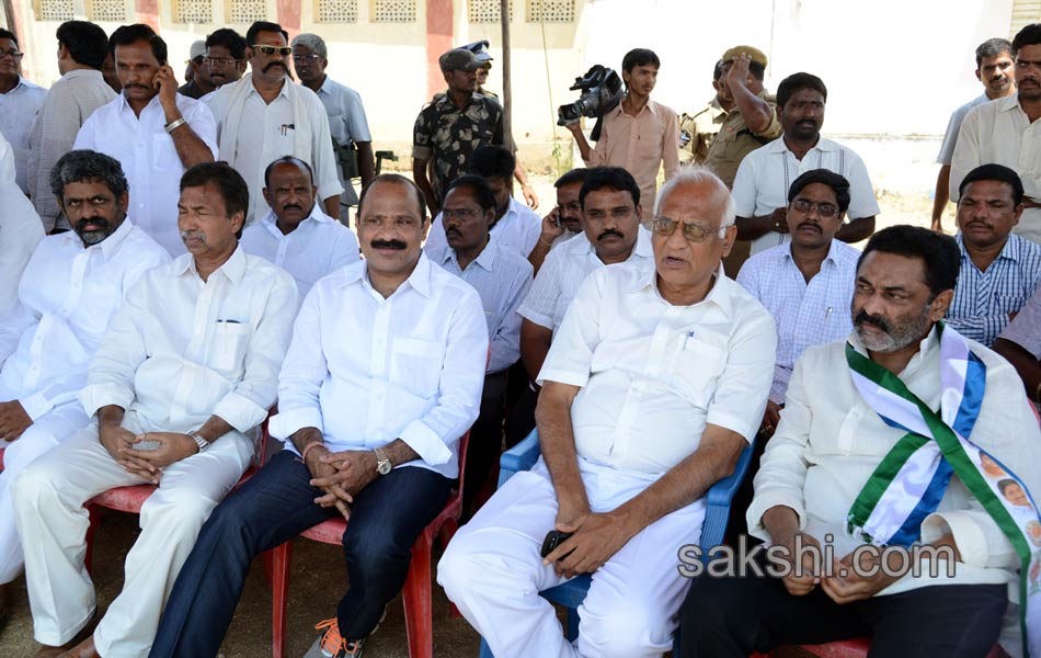 YSRCP Party leaders election campaign Meetings - Sakshi9