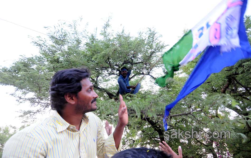 YSRCP Party leaders election campaign Meetings - Sakshi17