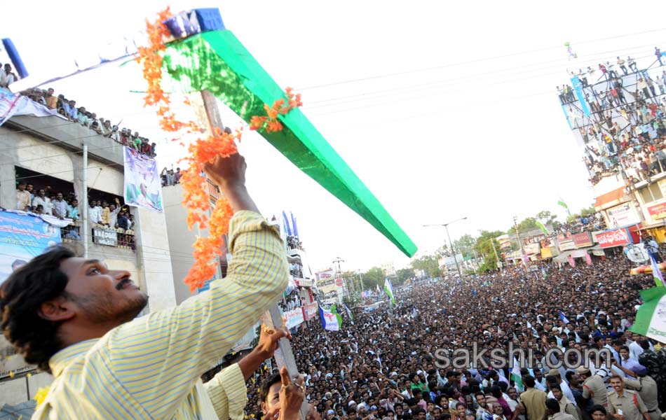 YSRCP Party leaders election campaign Meetings - Sakshi20