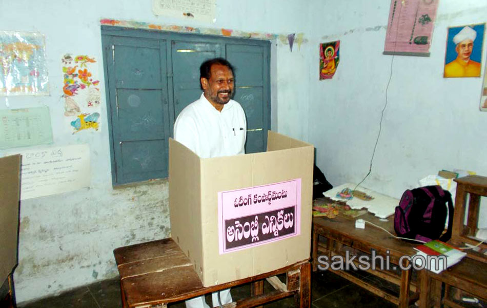 political leaders cast their Votes Elections 2014 in seemandhra - Sakshi21