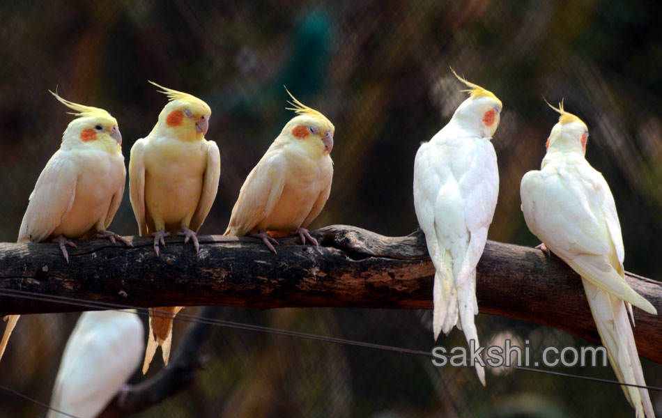 The park is the second largest zoo in Asia5