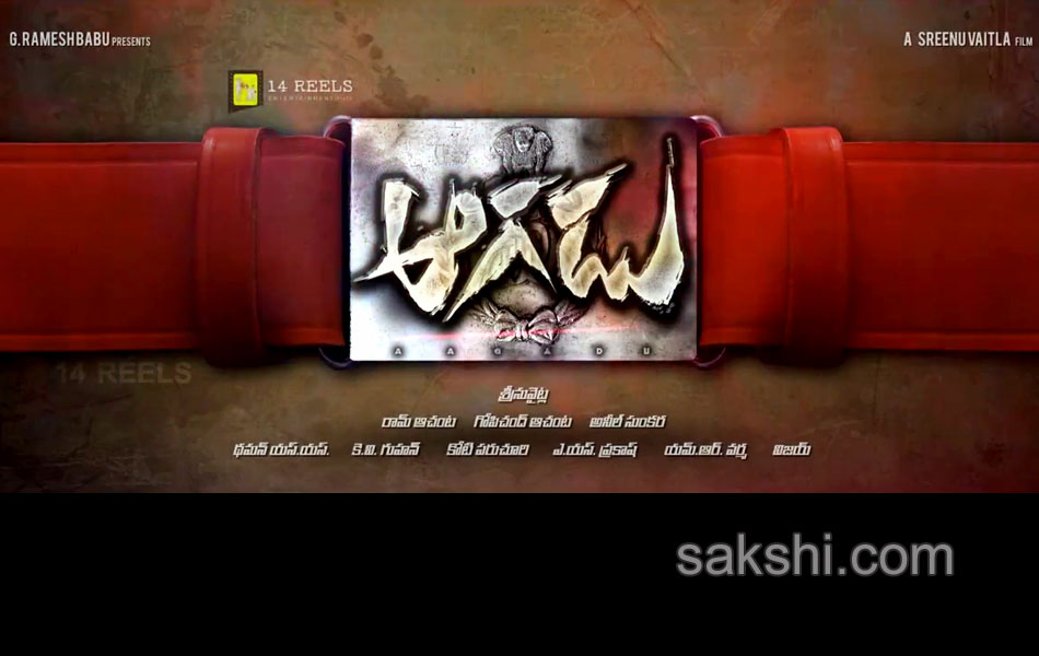 aagadu movie first look trailer stills - Sakshi6