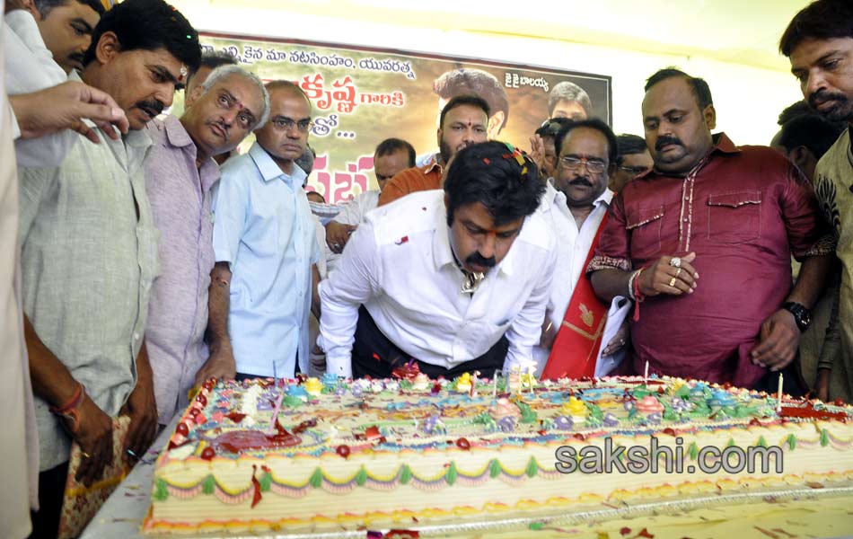 54th birthday celebrations of balayya - Sakshi13