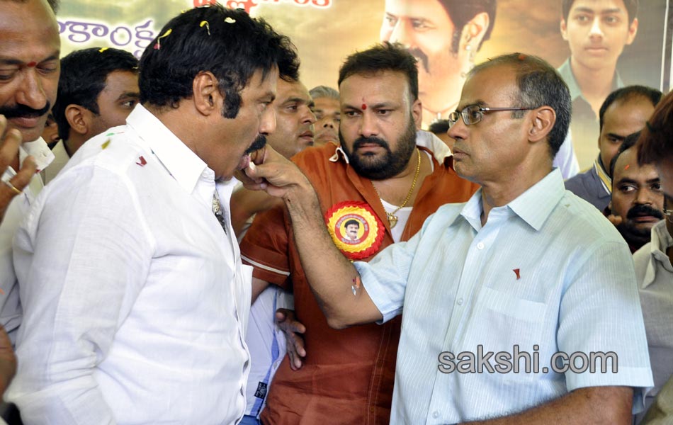 54th birthday celebrations of balayya - Sakshi14