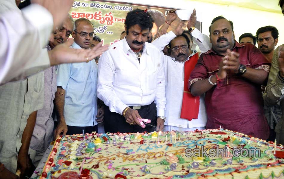 54th birthday celebrations of balayya - Sakshi15