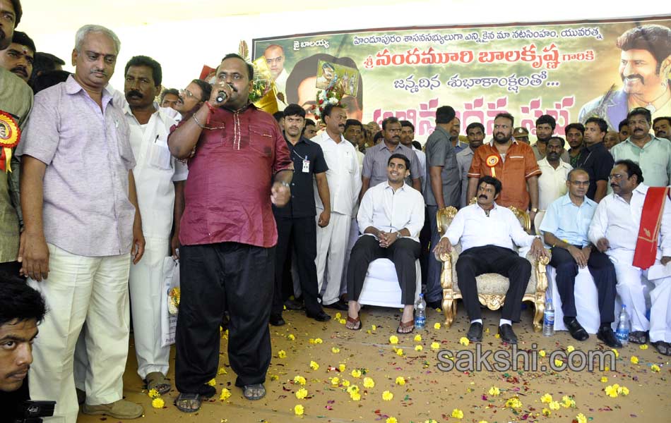 54th birthday celebrations of balayya - Sakshi16